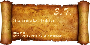 Steinmetz Tekla névjegykártya